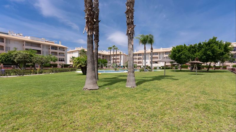 Foto 03cc26e2-ffef-4a5e-b10a-1386304b0f3f. Pis amb piscina a Playa Flamenca Orihuela