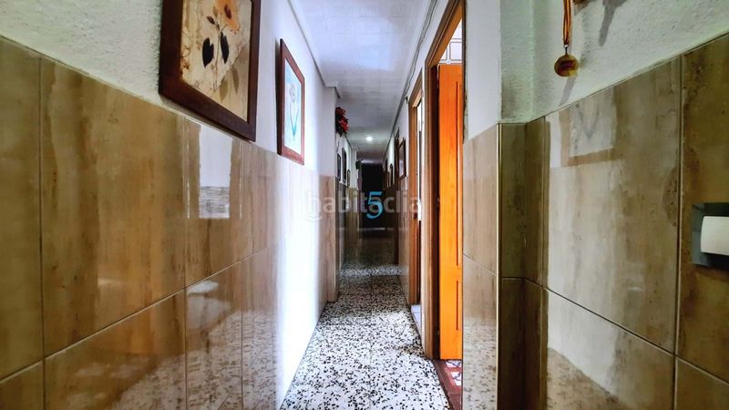 Foto b3058140-9db4-4d0a-a3ad-c3847ae1b18f. Pis a Almoradí