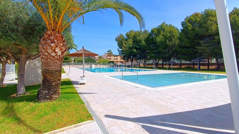 Foto 7c8d0d7b-efe3-4480-a00e-e89d6eb823ef. Pis amb calefacció a Algorfa