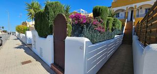 Etagenwohnung in Montesinos (Los). Fantástico apartamento en terraza de 2 dormitorios en la planta