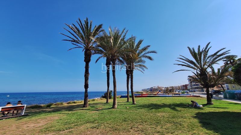 Foto 81ad2b49-8bb0-4961-9364-e084dfe7686f. Pis a La Veleta Torrevieja