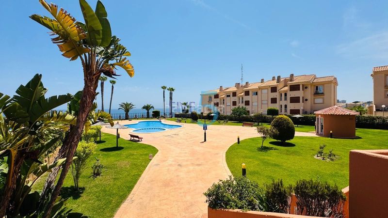 Foto ee2fb475-5918-4a97-99c8-baf2c52c1e62. Pis amb piscina a Aguamarina Orihuela