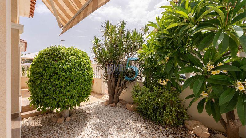 Foto a75e69f5-c554-4a25-b026-309868991387. Casa amb calefacció piscina a Algorfa
