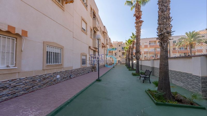 Foto ca5257e8-e38c-4bbe-b92d-a503ddd6b5d7. Estudi amb piscina a Antonio Machado Torrevieja