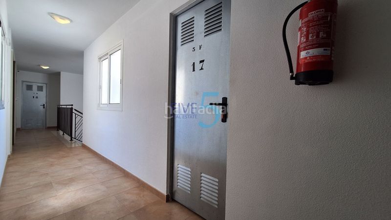 Foto f9c8b20b-bfa2-421e-8185-b6adc0723458. Pis a Almoradí