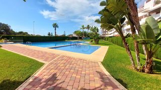 Pis a Lomas de Cabo Roig - Los Dolses