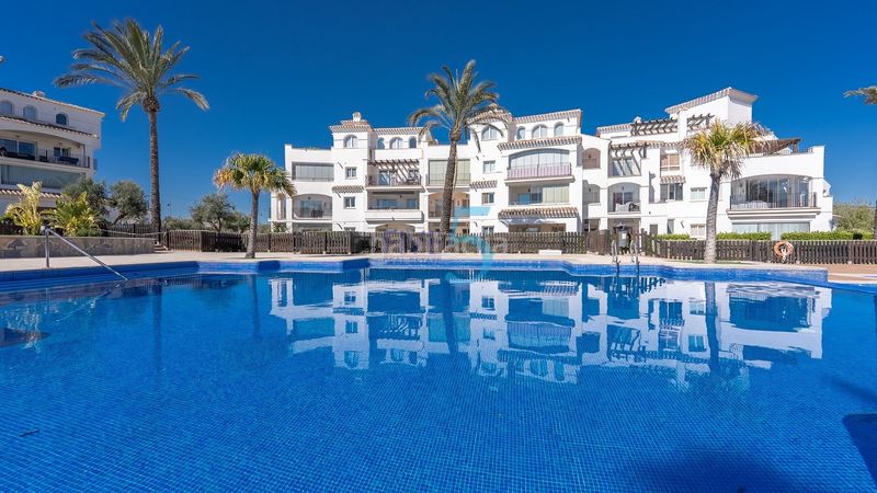 Foto 48d16527-5663-4d16-af4f-959c9da6519d. Àtic amb calefacció aparcament piscina a Jerónimo y Avileses Murcia
