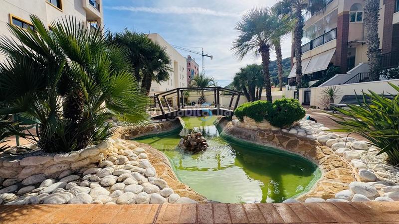 Foto 6e07ddb5-210d-4573-b308-704488b7dc8f. Flat with heating pool in Los Secanos Guardamar del Segura