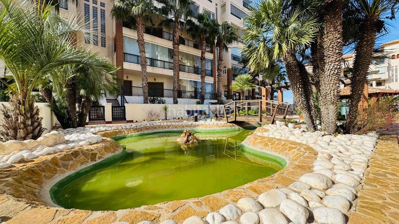 Foto da66cd6e-9e4d-449f-a3d5-3751c0f809fa. Flat with heating pool in Los Secanos Guardamar del Segura