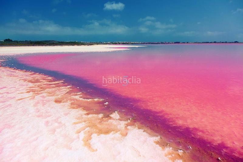 Foto 53875081-08ae-49bd-87d8-97e80978b764. Appartement avec parking piscine dans Los Balcones-Los Altos Torrevieja