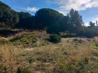 Terreny residencial  Cam can creus. Terreno en venta premia de dalt