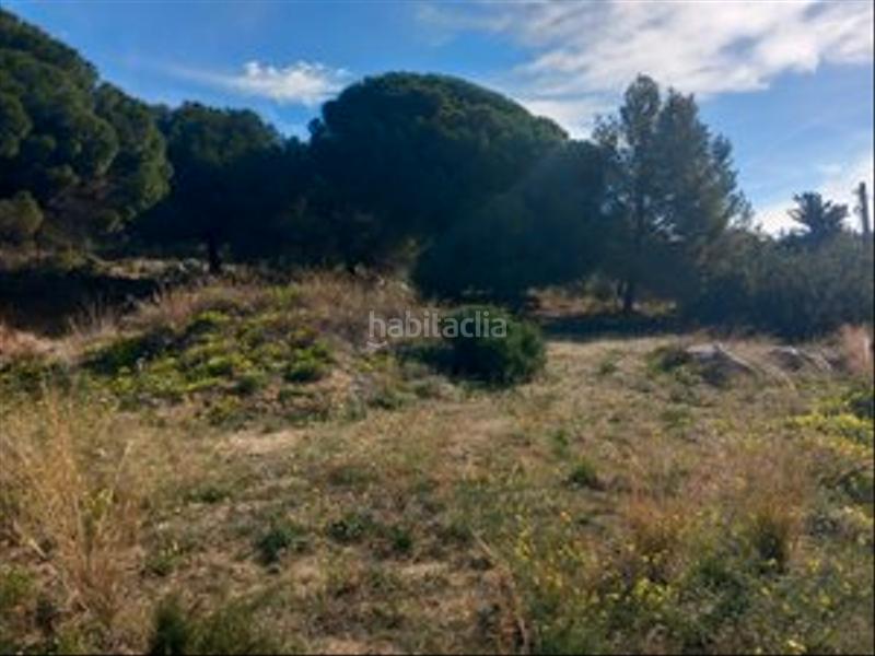 Foto 330d1640-54de-4176-86ee-902eefec6c8a. Terrain résidentiel dans Premià de Dalt