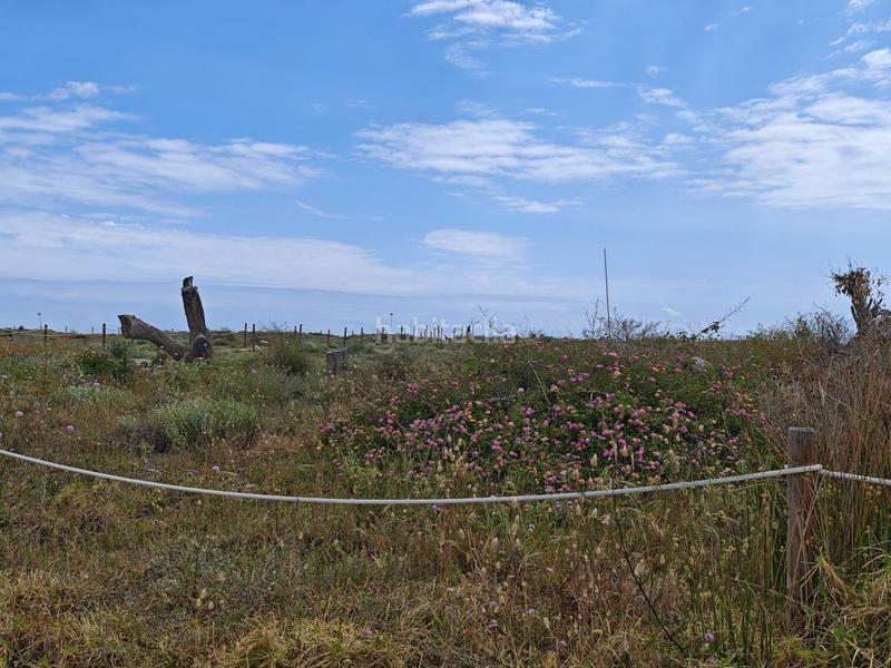 Foto 393e6a02-782b-4205-b36f-94cb9dc02a6f. Planta baixa amb aparcament piscina a Centro-El Castillo Sagunt