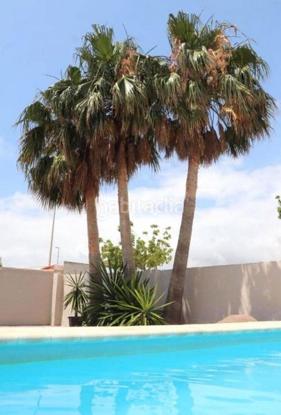 Foto 7654fa39-2fb0-4106-8794-900fbd81ec3d. Lloguer planta baixa amb calefacció piscina a playas de Puçol Puçol