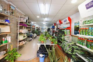 Planta baja en Massamagrell