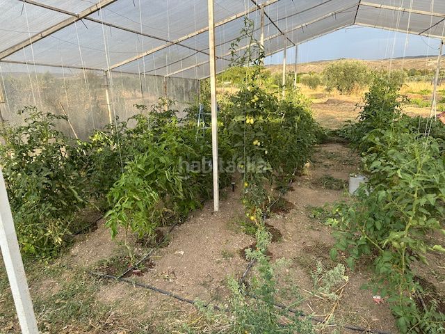 Foto a465a039-16b3-4c76-9cff-a52f950f061f. Finca rústica a Chinchón