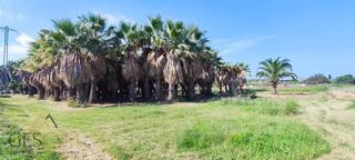 Rural plot in Eixample. Terreno agrario parque agrario riu llobregat