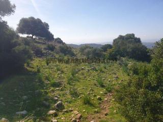 Wohngrundstück in Casares pueblo. Casaresterreno