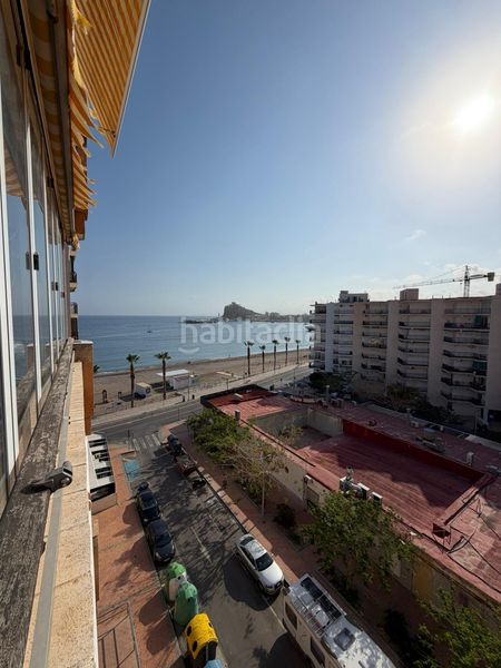 Foto d459a0e8-79f7-4682-a842-39aba1e90a26. Pis a Delicias Águilas