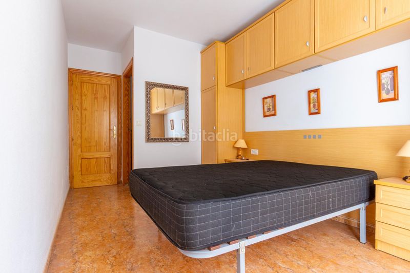 Foto d8a1c055-4fc5-40e7-8cc8-986b9b87c48b. Pis a Delicias Águilas
