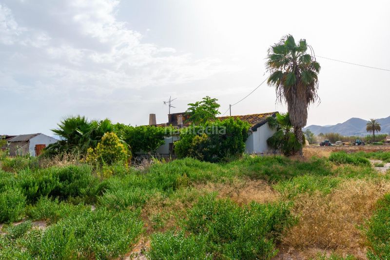 Foto b176cd95-f842-4b8f-ad75-658c71c15c3c. Terreny residencial a Campillo Lorca