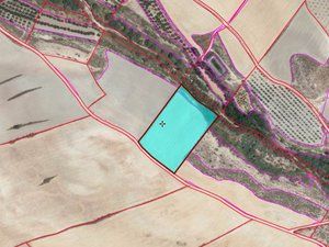 Fondo rustico in Caniles. Un terreno único para invertir en el campo.