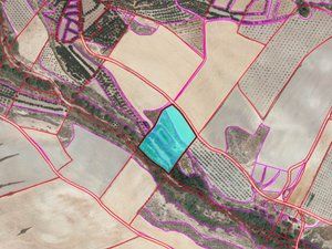 Fondo rustico in Calle general q de llano 34. Ubicado en una de las mejores zonas de caniles.