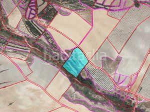 Foto b4fdf720-83fe-4120-a8a5-5631e54e5c17. Finca rústica a calle general q de llano 34 a Caniles