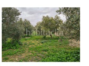 Foto 303e9796-065b-4491-b7c4-87f2af99d0f3. Masia a carretera benamaurel 16 a Baza