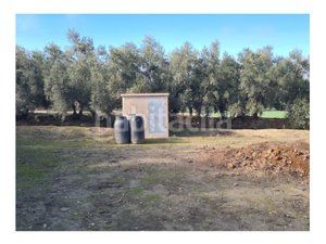 Foto 42d765a5-97b3-4f08-967a-589bd9d8c71e. Masia a carretera benamaurel 16 a Baza