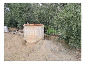 Foto 66eedf7e-f159-4684-afe7-7900ecfbee41. Masia a carretera benamaurel 16 a Baza