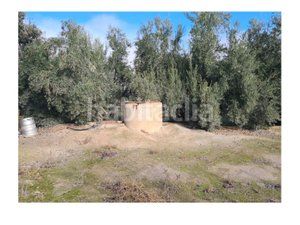 Foto 8e8da830-6a6e-44f5-9f82-6a077b43644d. Masia a carretera benamaurel 16 a Baza