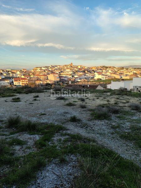 Foto 634b221b-873a-478c-b6fc-ef7554c88621. Finca rústica a barrio yeseras 249 a Benamaurel