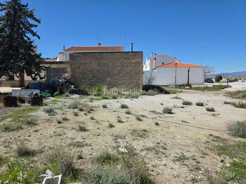 Foto 8069ae63-855c-4cab-8672-715ed34d35e3. Finca rústica a barrio yeseras 249 a Benamaurel