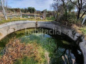 Foto 5eb3ca98-ea34-4cc3-b625-98e1ac626726. Casa amb piscina a Baza
