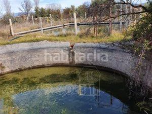 Foto ae1fcd38-b349-4110-8705-3d8c06bfe140. Casa amb piscina a Baza