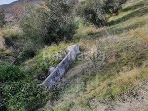 Foto d0e8d9e9-5559-4582-86d9-9396f4b2fa8c. Casa amb piscina a Baza