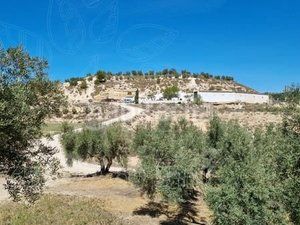 Foto 054fadda-f2d4-468a-8709-1454e2969aed. Finca rústica a Cuevas del Campo