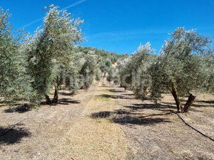Foto 4a4b3a84-97f2-4056-8847-b3e57b5fc04b. Finca rústica a Cuevas del Campo