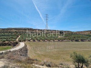 Foto 4b7c92dd-4339-4202-822f-7ebcfd947538. Finca rústica a Cuevas del Campo
