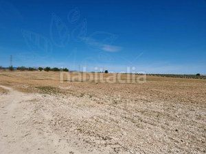 Foto 7c22130e-2a53-4a5d-8196-ef07244296f3. Finca rústica a Cuevas del Campo