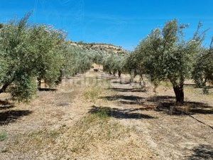 Foto afa2d8d2-668b-4498-a551-f4d127f7b33e. Finca rústica a Cuevas del Campo