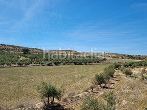 Foto b374644e-c366-44f7-b9fc-1602e429a84b. Finca rústica a Cuevas del Campo