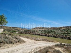 Foto df536e52-f21c-4771-a22d-603b82ce28f0. Finca rústica a Cuevas del Campo