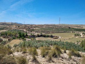 Landgut  Calle granada. Terreno en venta en cuevas del campo s/n, cuevas del campo