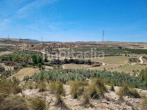 Foto e5bf65d8-d1a2-480b-9c89-b0249d6926d1. Finca rústica a Cuevas del Campo