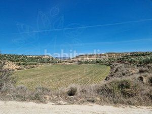 Foto f0e63ad4-3527-48c9-9a08-357b991eb61f. Finca rústica a Cuevas del Campo
