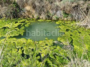 Foto fbcc02af-c142-4018-a904-e4530ee788ae. Finca rústica a Cuevas del Campo