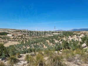 Foto fc13858b-939a-4707-809d-690488339ff8. Finca rústica a Cuevas del Campo