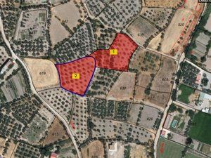 Fondo rustico  Calle baza. Finca ubicada en las mejores zonas de caniles y de su comarca.